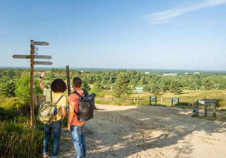 Weidse zandlandschappen in de wandelregio Teutoburgerwoud