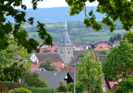 Gezicht op Nieheim tussen bomen