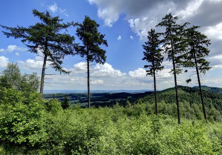 Landschap op de Tönsberg in Oerlinghausen