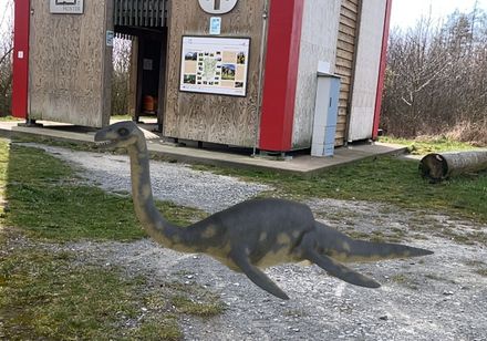 Dino Toni bij de Lattbergtoren
