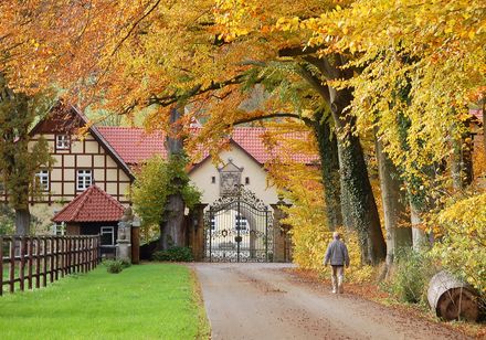 Kasteel Crollage achter herfstbomen