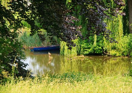 Meer met boot, omgeven door bomen