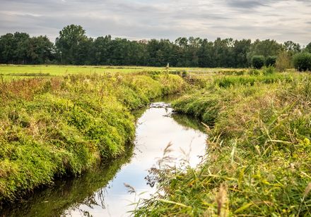 Een beek stroomt tussen groene velden
