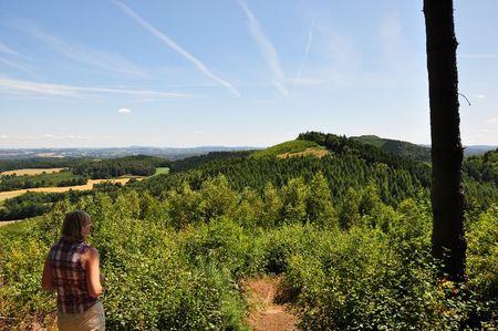 Persoon kijkt naar boslandschap in Oerlinghausen
