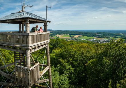 Luisenturm midden in een dicht, groen bos