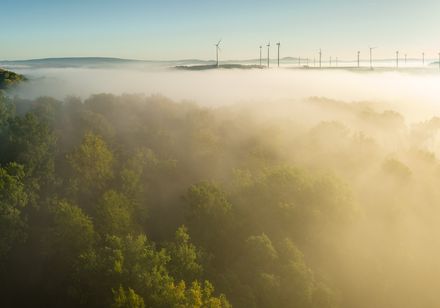 Nieheim kunstroute - Bos in de mist van bovenaf