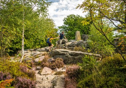 Wandelen in het Lippischen Velmerstot