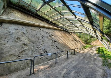 Dinosaurussporen in Bad Essen