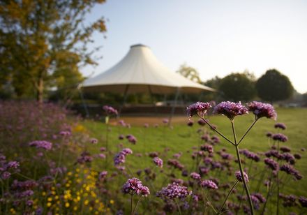 Rozenbloem, op de achtergrond een paviljoen