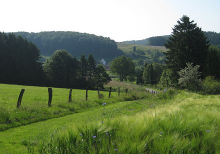 Landschap in Schwelentrup