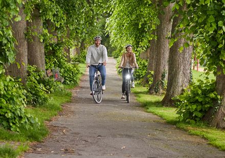 Fietsers op een pad tussen de bomen