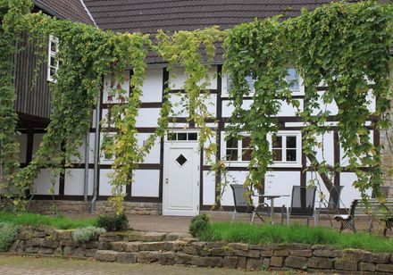 Hopranken voor vakwerkgebouw