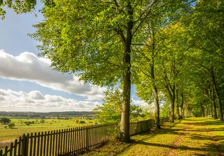 Bedevaartsoord met bomen en weids landschap