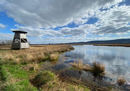 Großes Torfmoor Hille 