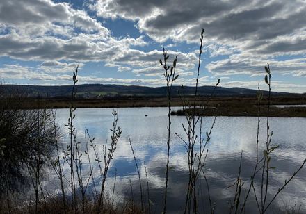 Großes Torfmoor bei Hille 