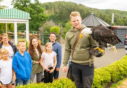 Man met adelaar op zijn arm tijdens vliegshow