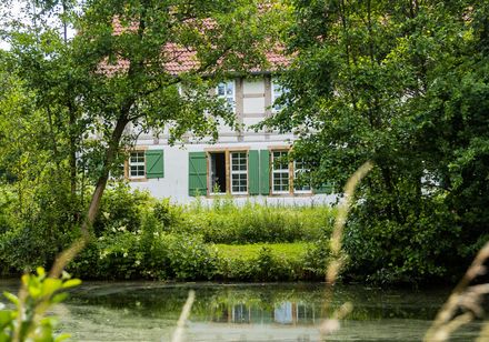 Werburg achter bomen
