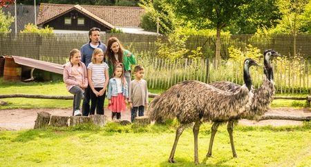 Uitstapje met kinderen: gezin in het vogelpark voor struisvogels