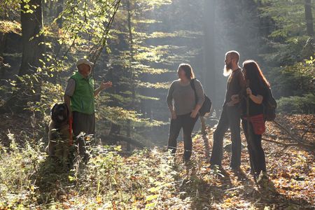 Begeleide boswandeling bij Kalletal