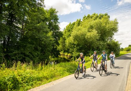 Vier fietsers bij zonnig weer op het Else-Werre-fietspad