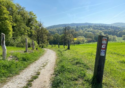 Wandelpad tussen bos en weide