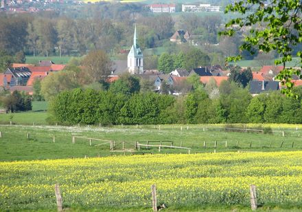 Uitzicht op Bergheim achter de velden