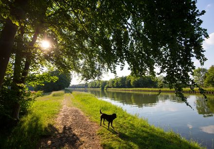 Landschaft am Mittellandkanal
