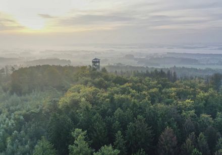 Avondsfeer in het TERRA.Vita Geopark en Natuurpark