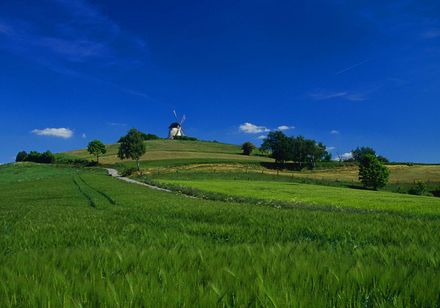 Weide voor de molen van Bavenhausen