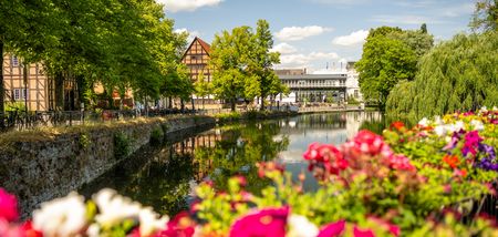 Lippisch Landesmuseum