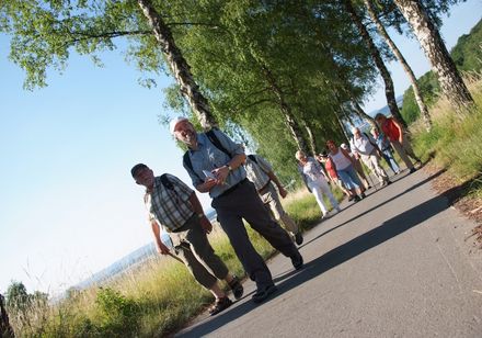 Wandelaars op een pad tussen bomen