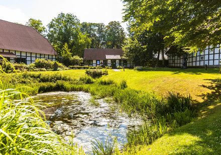 Tuin met vakwerkhuizen