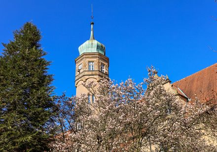 Ulenburg Löhne met magnoliabloesem