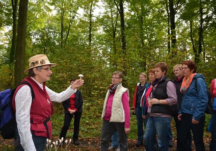 Vrouw laat paddenstoel zien tijdens rondleiding in het bos in Stemwede