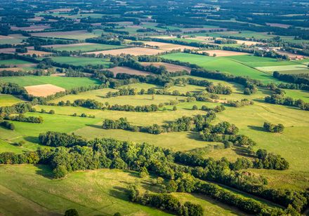 Luchtfoto van de groene natuur en velden in Versmold