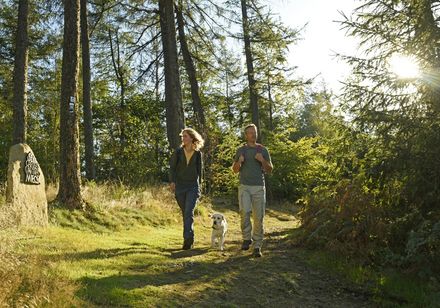 Wandelaars in het bos