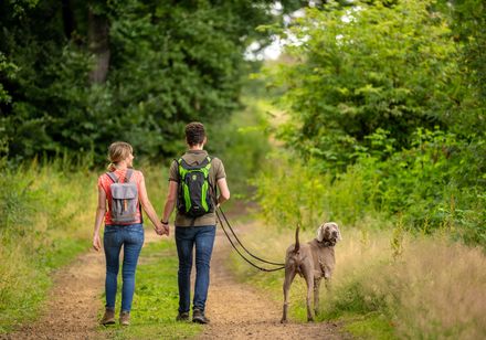Stel wandelt met hond op veldweg