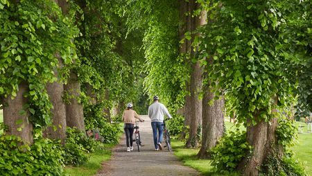 Fietsers tussen de bomen bij de Mallinckrodthof