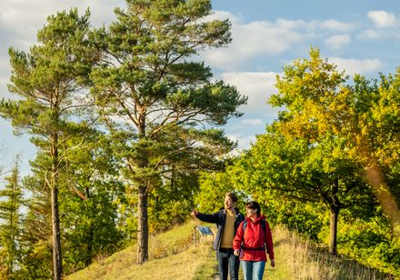Twee mensen wandelen over een smal wandelpad