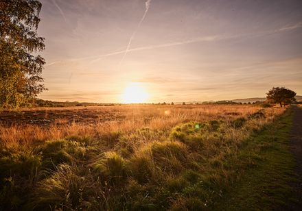Moorlandschappen in de wandelregio Teutoburgerwoud