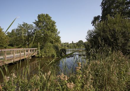 Emssee met groene natuur en houten brug