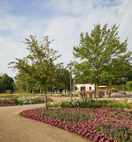 Bloeiende park