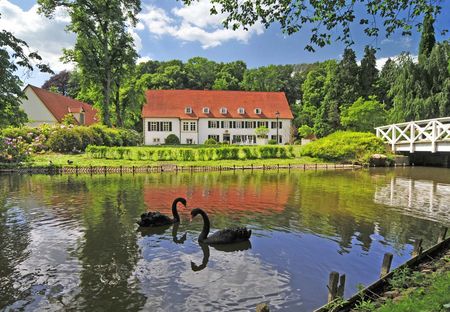 Meer met zwanen in het kuurpark van Bad Holzhausen