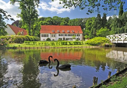 Meer met zwanen in het kuurpark van Bad Holzhausen