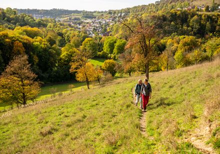 Wandelaars op de Jakobsberg in een herfstweide