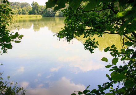 Klein meer omringd door groene bomen