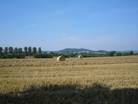 Landschaft mit Feld in Kalletal, Foto: Stadt Kalletal