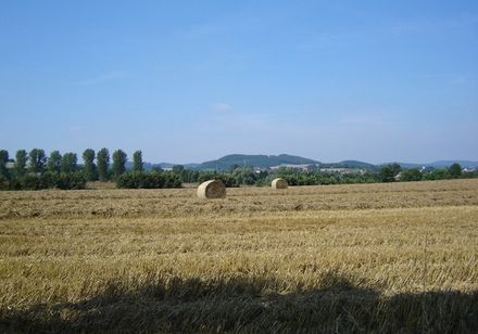 Landschaft mit Feld in Kalletal, Foto: Stadt Kalletal