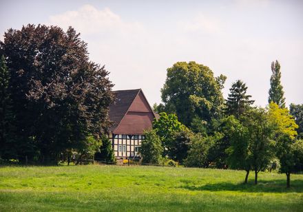 Vakwerkhuizen achter bomen en weiland