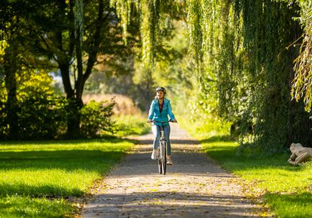 Fietser op een pad langs bomen
